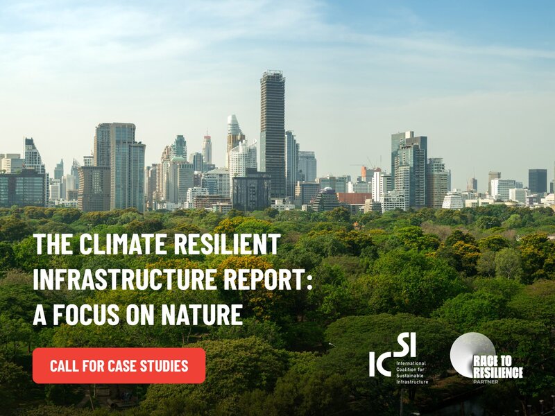Call for Case Studies: The Climate Resilient Infrastructure Report