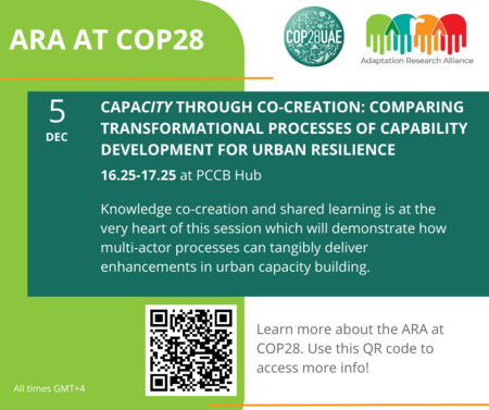 CapaCITY through Co-creation: Comparing transformational processes of capability development for urban resilience