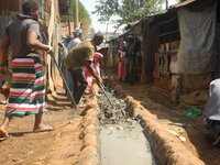 Using action research to tackle climate change