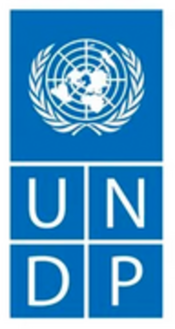 United Nations Development Programme (UNDP)