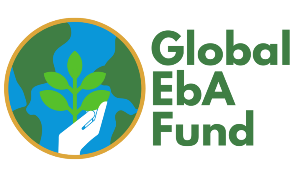 Call: Global EbA Fund
