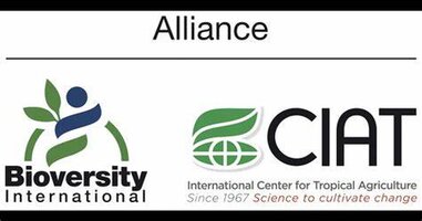 Alliance of Bioversity International CIAT